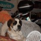 LUCHO CON 4 MESES